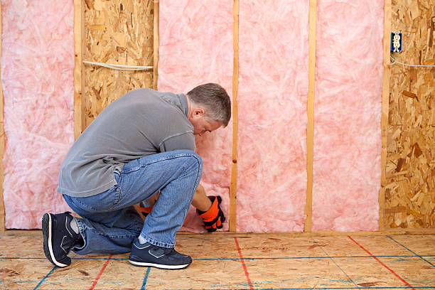 Best Types of Insulation in Rosedale, MS