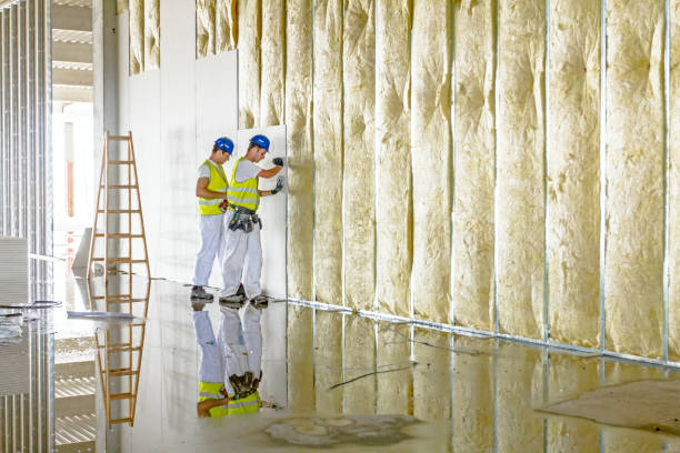 Best Residential Insulation in Rosedale, MS